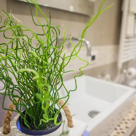 Terra D'acqua * Monopoli